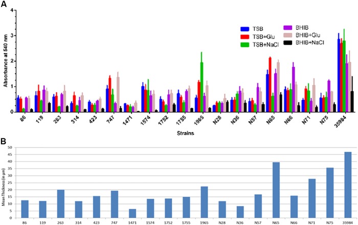 FIGURE 1