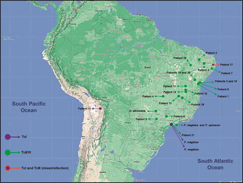 The distribution map of Trypanosoma cruzi discrete typing units (DTUs) identified in this study according to the probable infection sites for human hosts (patients) and the provenance of the infected sylvatic hosts (marsupials and triatomines). Bar = 100 km.