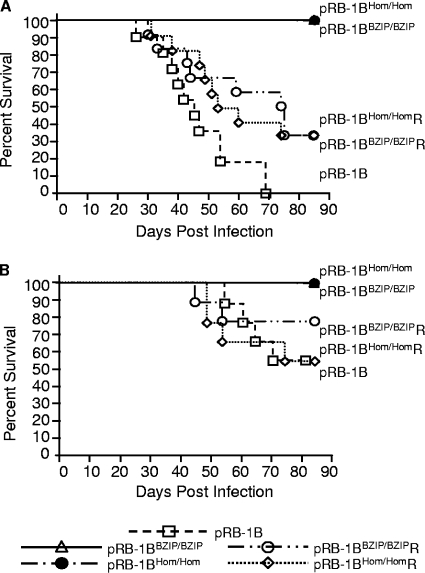 FIG. 6.