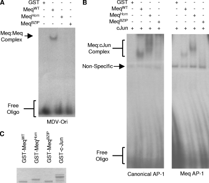 FIG. 4.