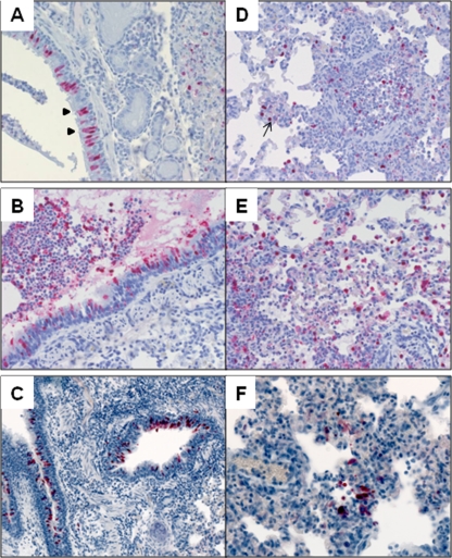 FIG. 3.