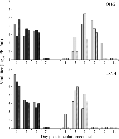 FIG. 1.