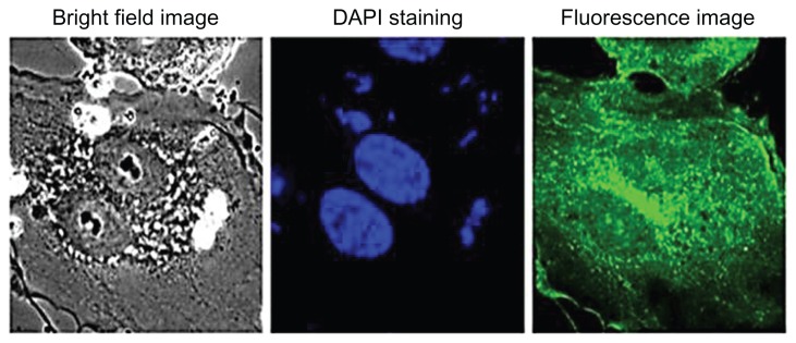 Figure 16