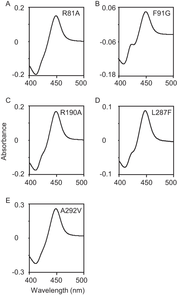 FIGURE 10.