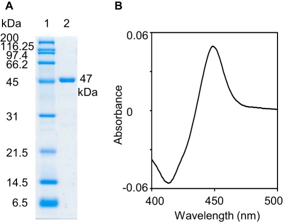 FIGURE 2.