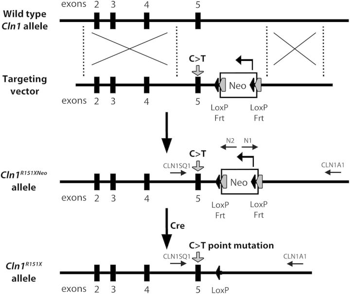 Figure 1.