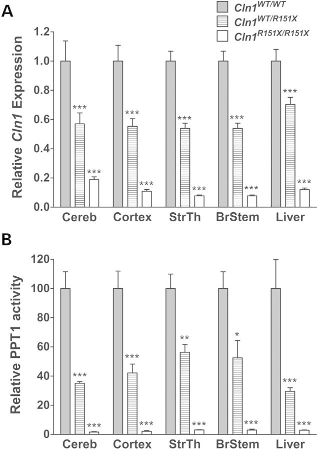 Figure 2.