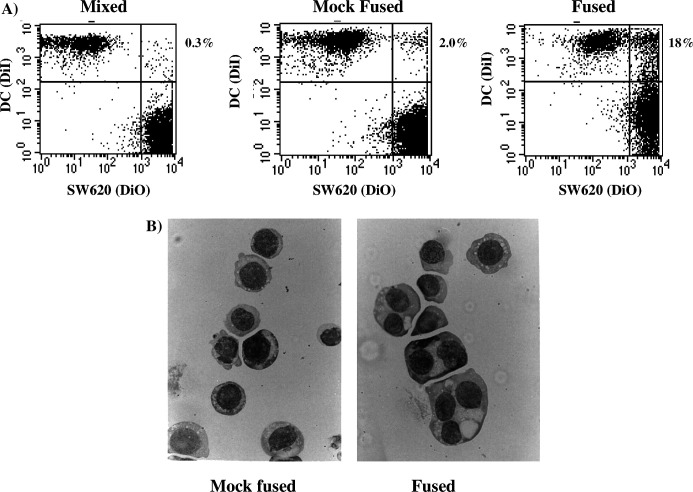 Fig. 1