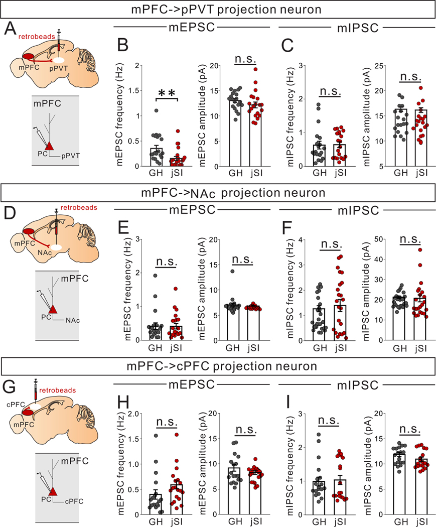 Extended Data Fig. 6