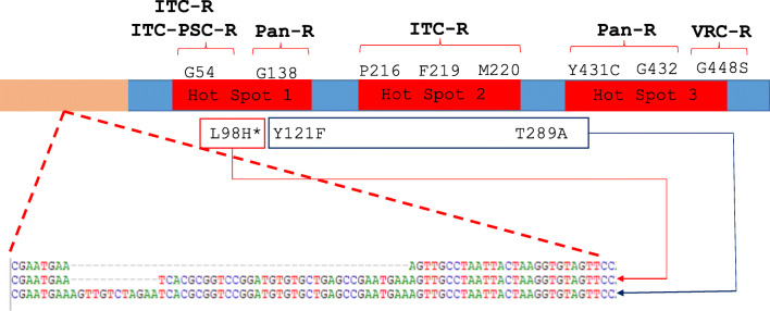 Fig. 1