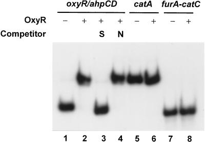 FIG. 7.