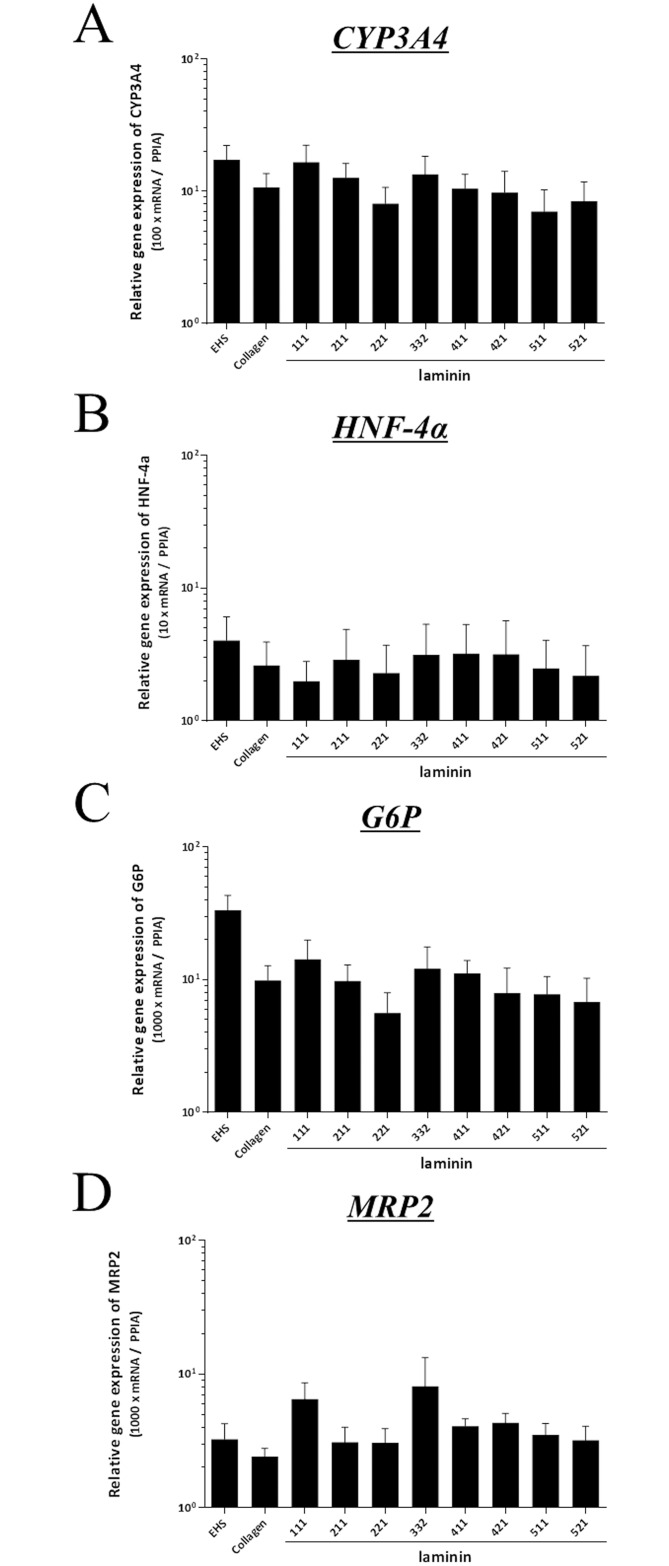 Fig 7