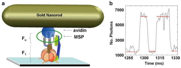 Fig. 3