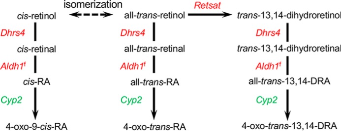 Figure 6.