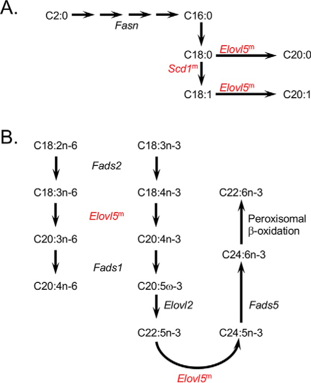 Figure 5.