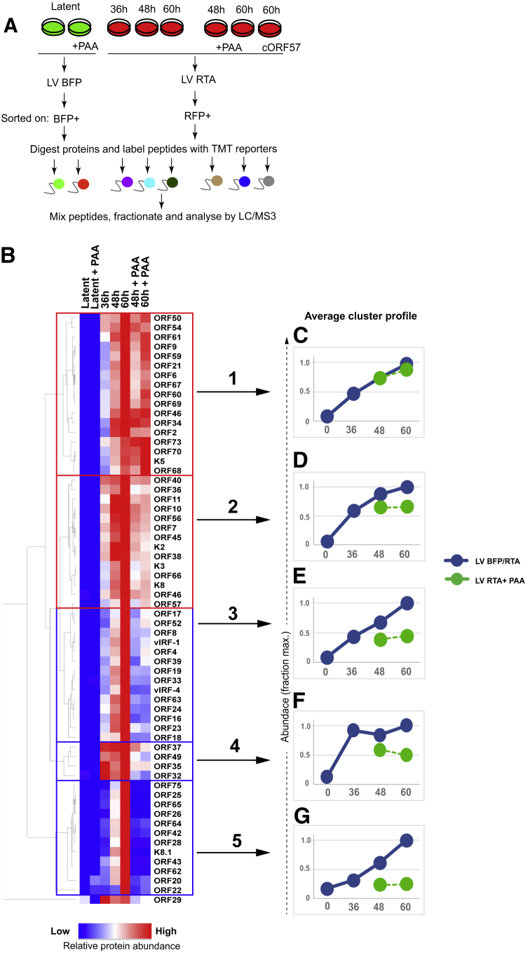 Figure 6