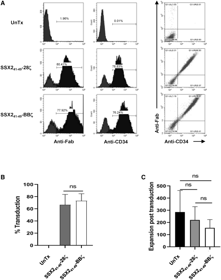 Figure 2