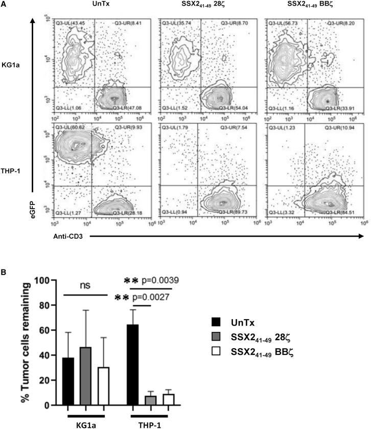 Figure 5