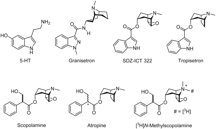 Fig. 1