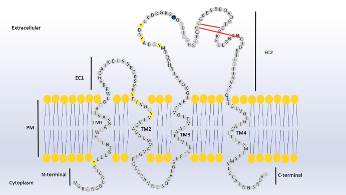 Figure 1.