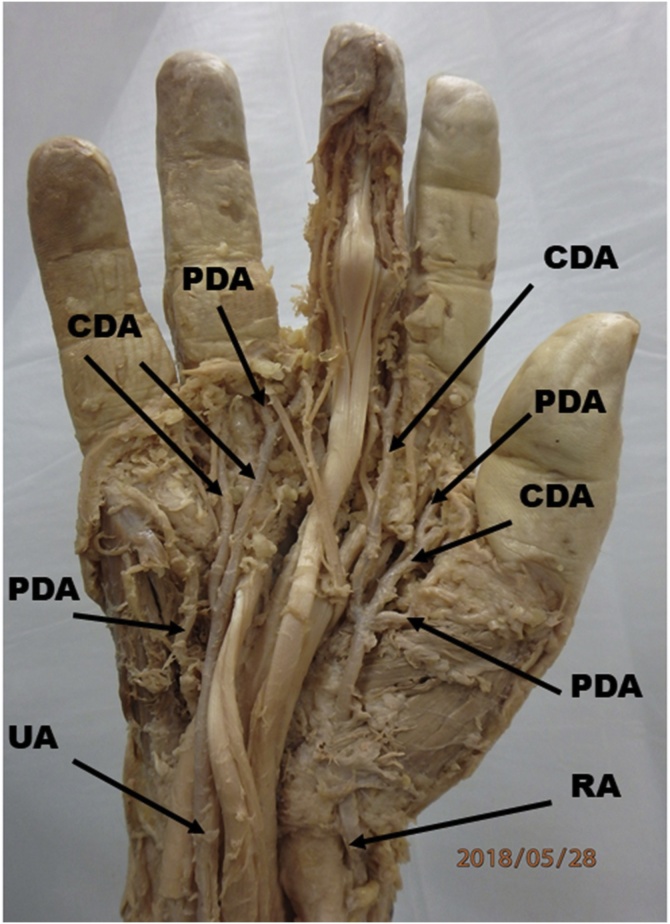 Fig. 1