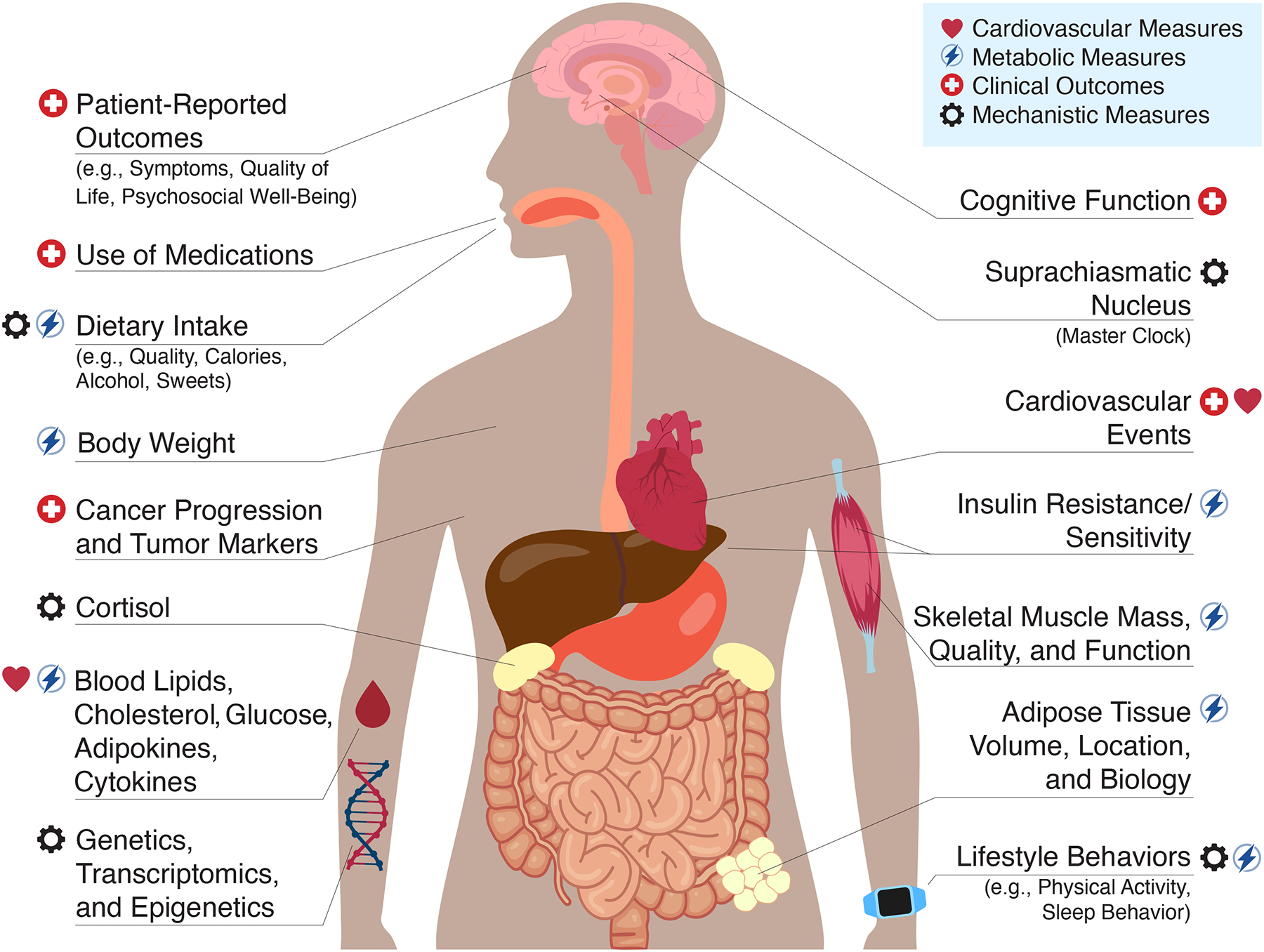 Figure 1: