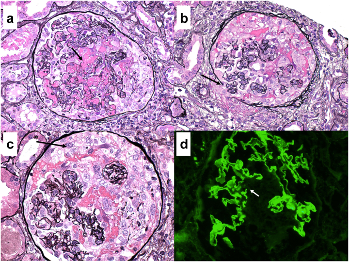 Figure 1