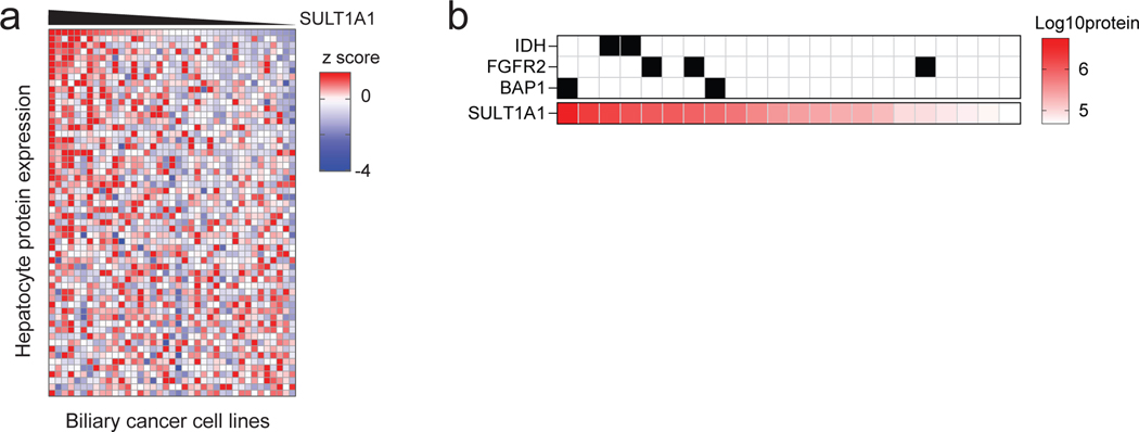 Extended Data Figure 4.