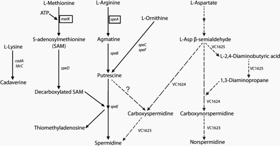 Fig. 9.