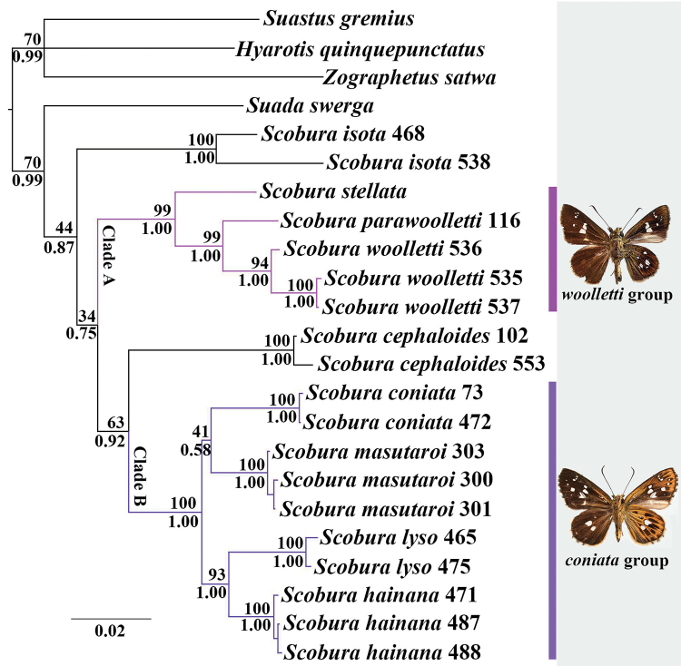 Figure 1.