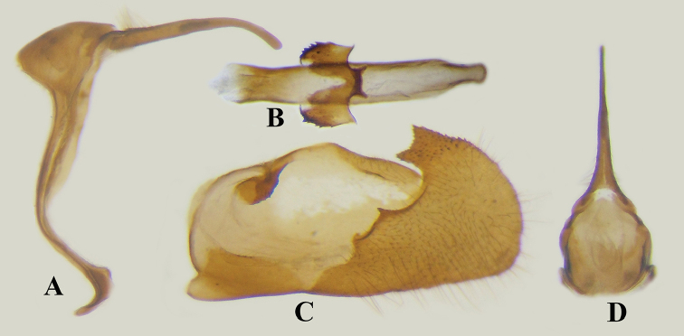 Figure 4.