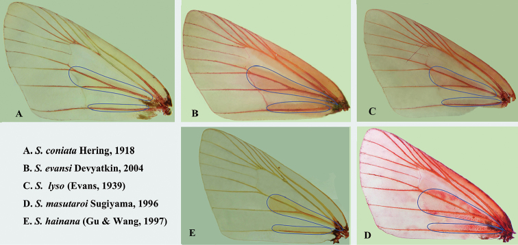 Figure 2.