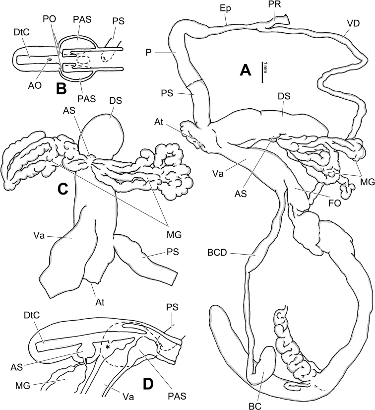 Figure 12.