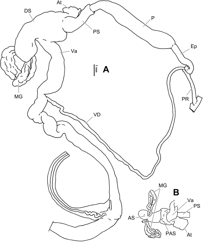 Figure 18.