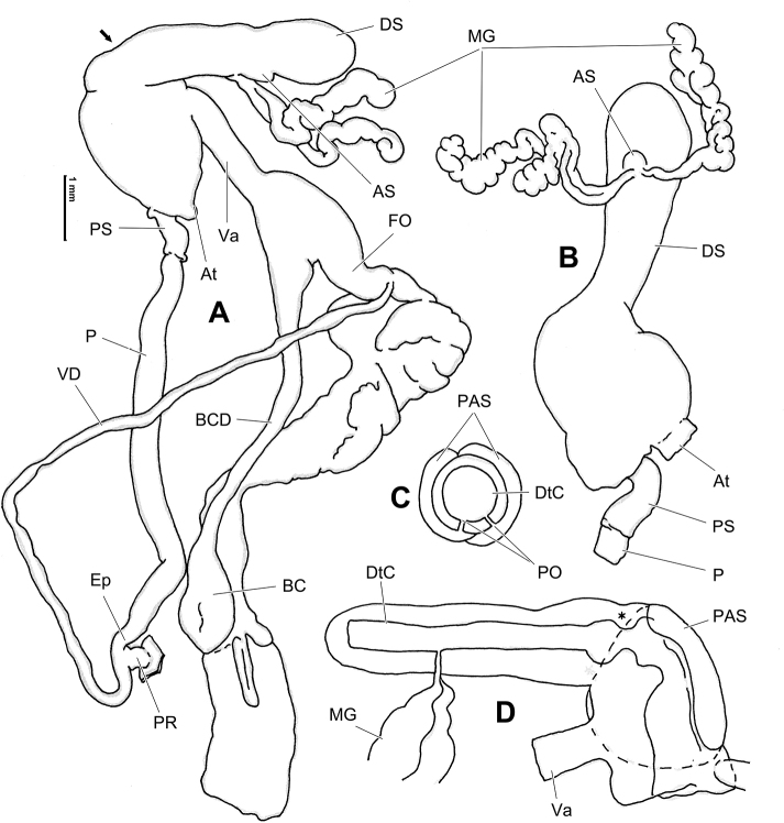 Figure 14.