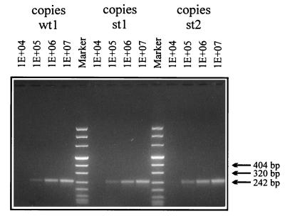 FIG. 1