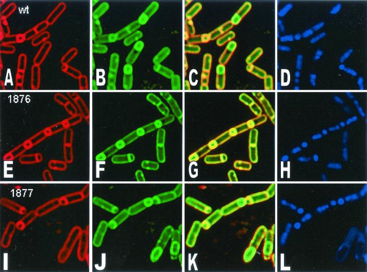 FIG. 8.