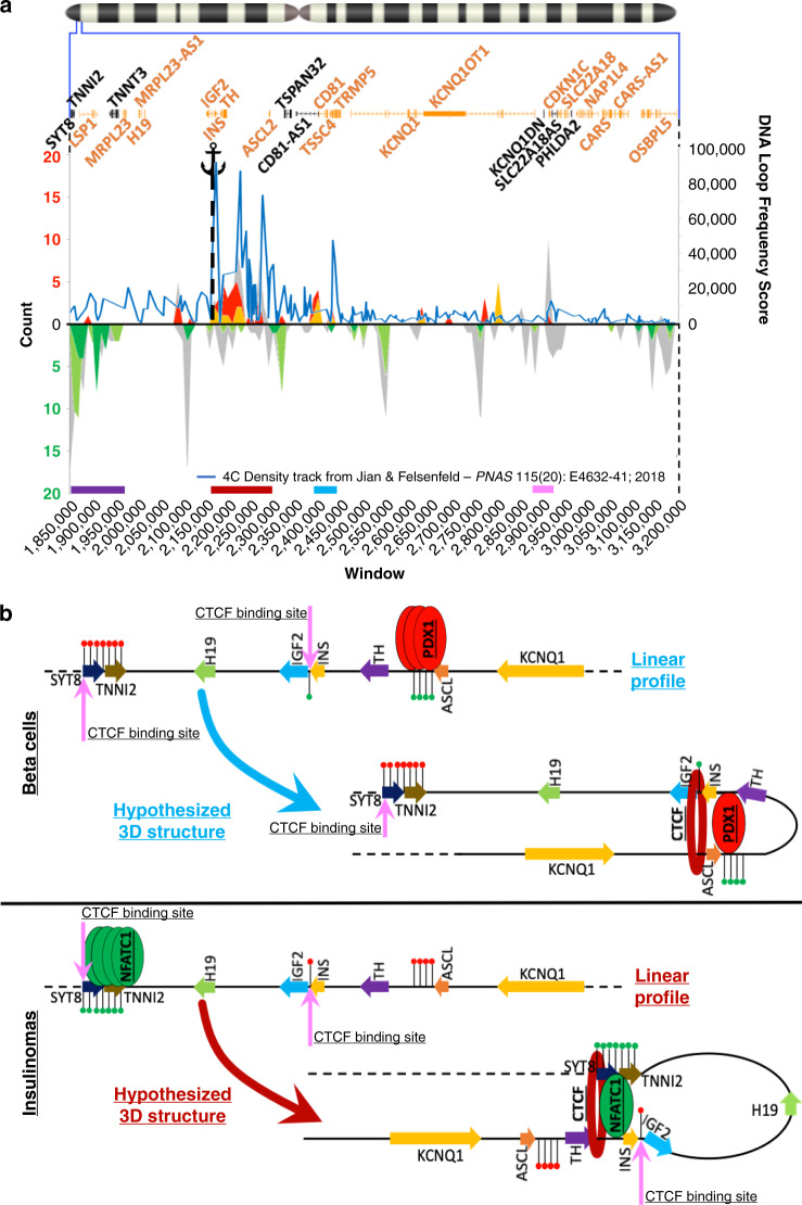 Aberrant methylation underlies insulin gene expression in human insulinoma.