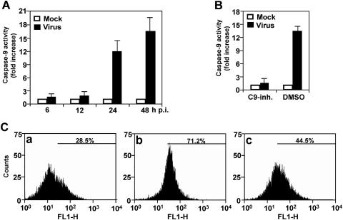 FIG. 1.