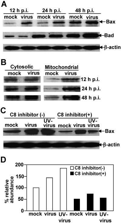 FIG. 6.