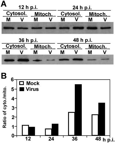 FIG. 2.