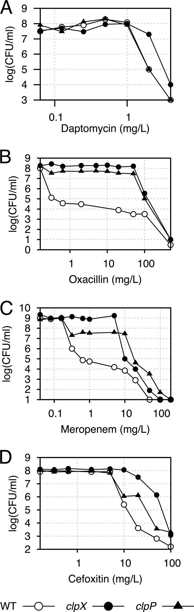 FIG 1