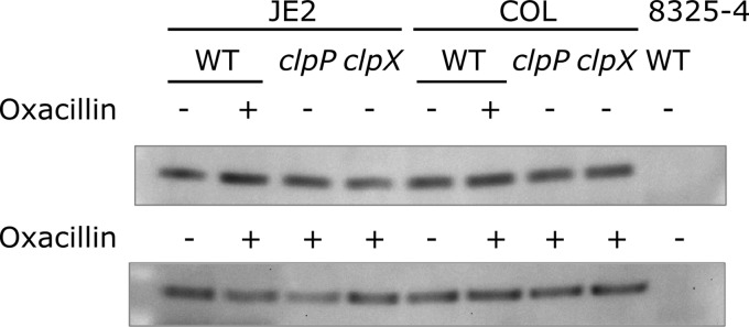 FIG 2