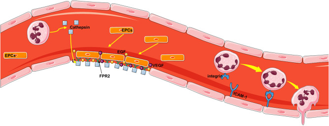 Figure 5