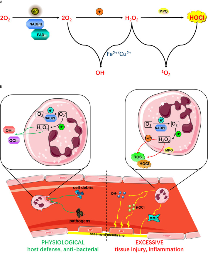 Figure 2