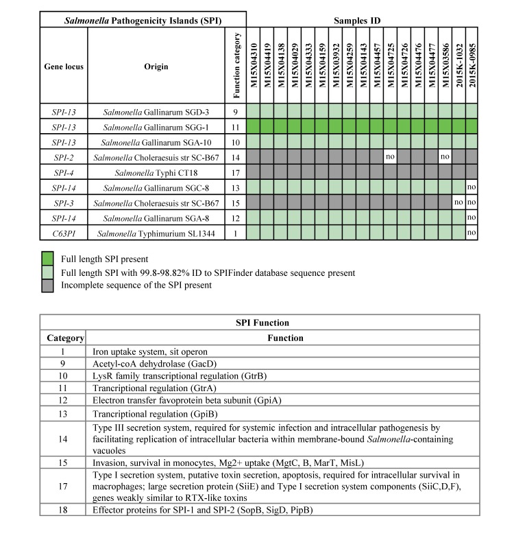 Table 2. Salmonella Pathogenicity Islands in outbreak-related Salmonella Poona isolates.