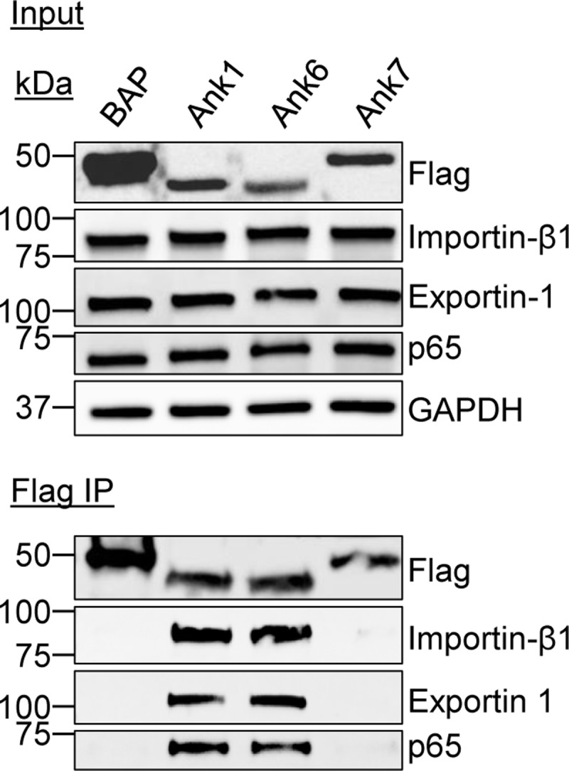 Fig 9