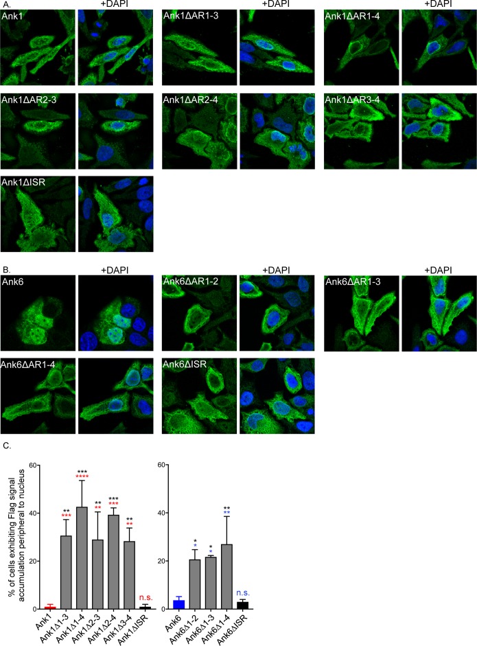 Fig 16