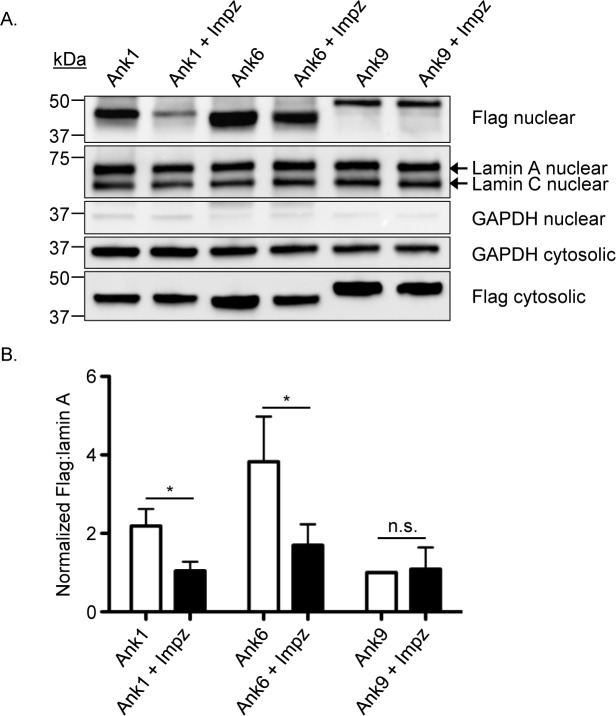 Fig 10