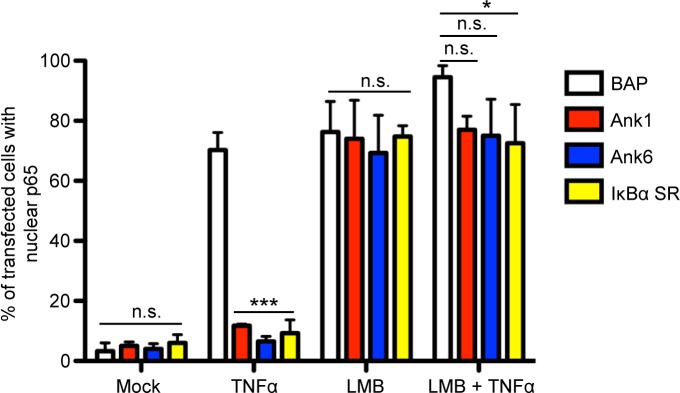 Fig 11